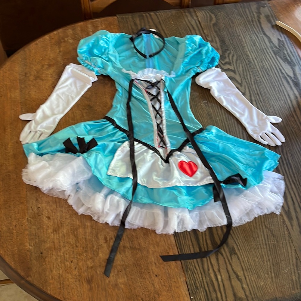 Sexy Alice in Wonderland Costume